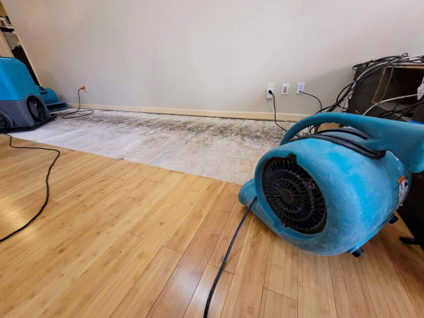 Professional Water Removal technician working in Estero, FL